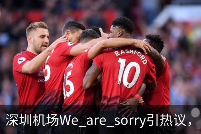 深圳机场We are sorry引热议，网友：sorry听800遍了
